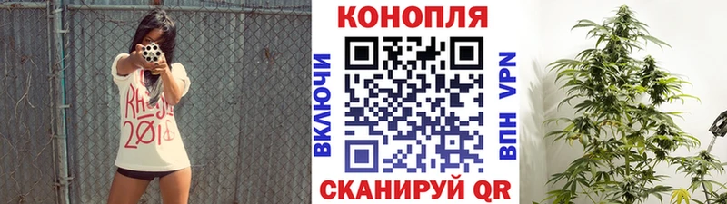 Бошки Шишки тримм  даркнет сайт  Шахты 